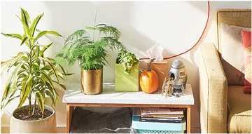 Lorum lorum Ipsum Ipsum Ipsum