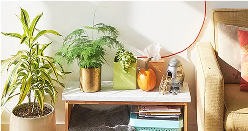 Lorum lorum Ipsum Ipsum Ipsum