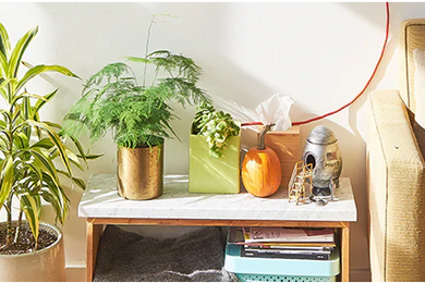 Lorum lorum Ipsum Ipsum Ipsum