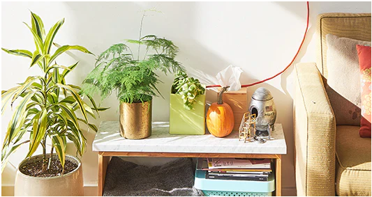 Lorum lorum Ipsum Ipsum Ipsum