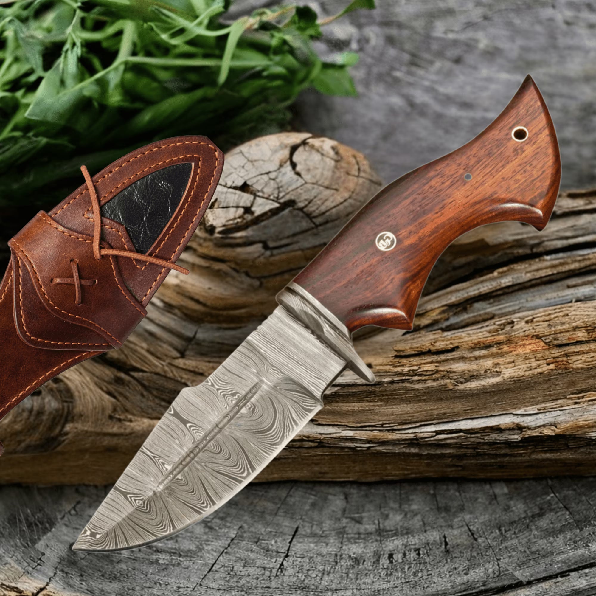 Handmade Damascus Fixed Blade Knife 10" Hunting Camping Outdoor Predator Hunter HandiGo USA